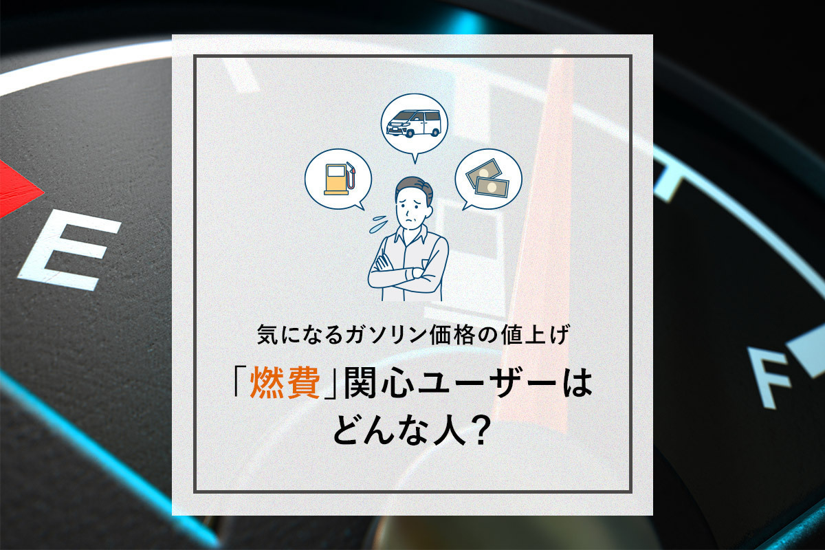気になるガソリン価格の値上げ 燃費関心ユーザーはどんな人 消費者web行動分析ツール Story Bank で調査 マナミナ まなべるみんなのデータマーケティング マガジン