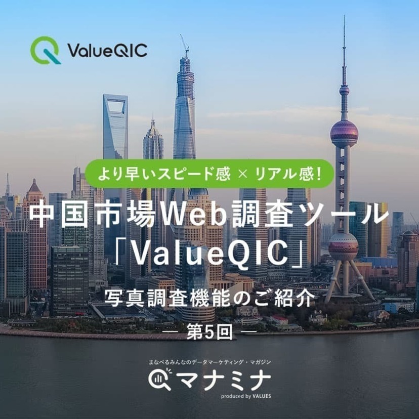 より早いスピード感ｘリアル感！中国市場Web調査ツール「ValueQIC」写真調査機能のご紹介【第5回】