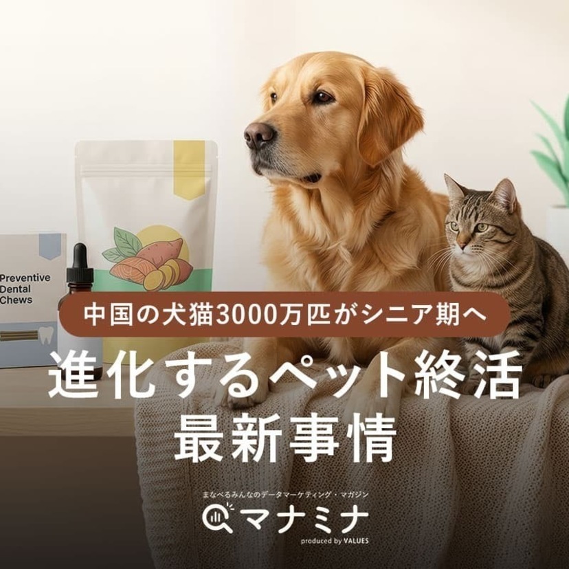 中国の犬猫3000万匹がシニア期へ、進化するペット終活最新事情